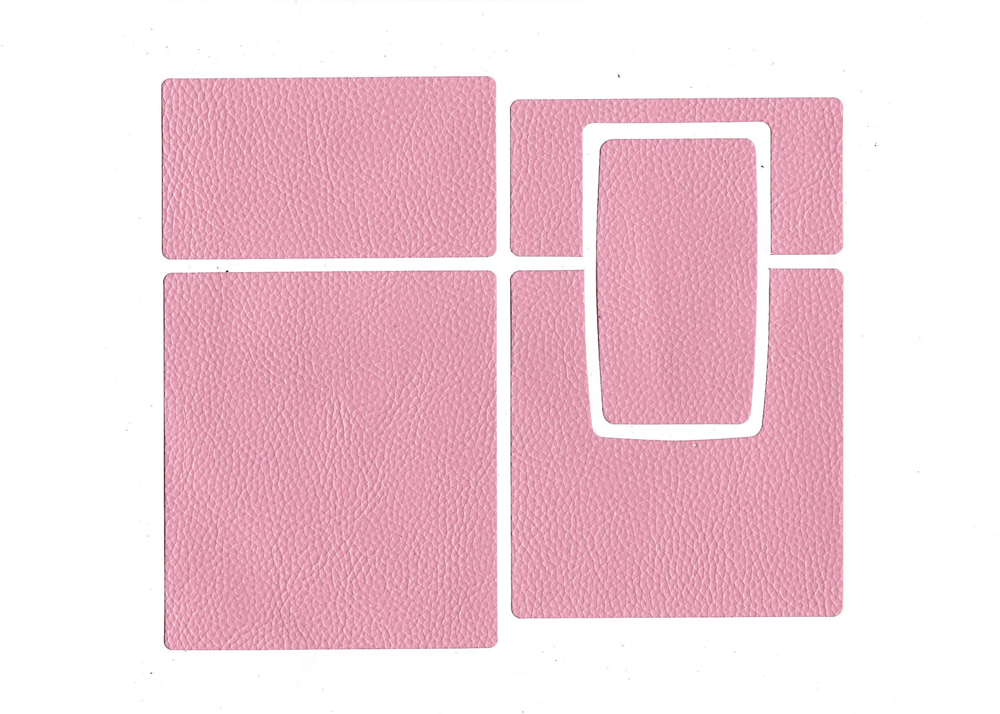 SKIN rosa02